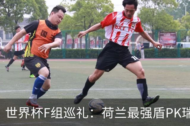 世界杯F组巡礼：荷兰最强盾PK瑞典犀利刀 日本短板明显
