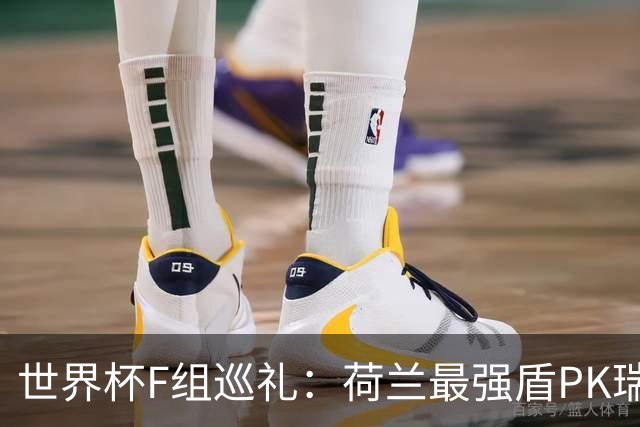 世界杯F组巡礼：荷兰最强盾PK瑞典犀利刀 日本短板明显